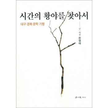 시간의 황야를 찾아서 - 대구 경북문학기행