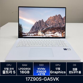 LG전자 LG그램 17Z90S-GA5VK RAM 16GB 256GB + 2TB 추가