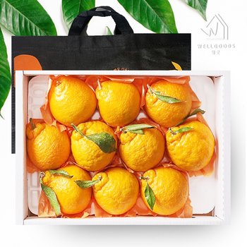 [웰굿]제주직송 한라봉 선물세트 2.5kg(6-10과,대과,부직포포함)