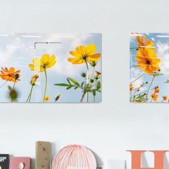 꾸밈 아트박스/꾸밈 nt091-행잉액자_황화코스모스(가로대형)