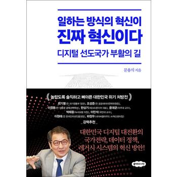 일하는 방식의 혁신이 진짜 혁신이다 - 디지털 선도국가 부활의 길