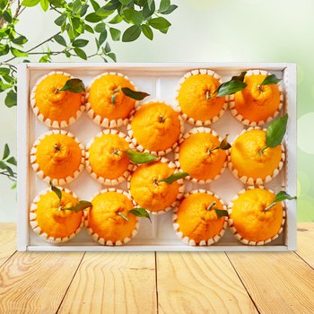 [SSG상품권증정이벤트][순차/지정일출고] [맛딜] 제주 한라봉 선물세트 4.5kg (17-20과)