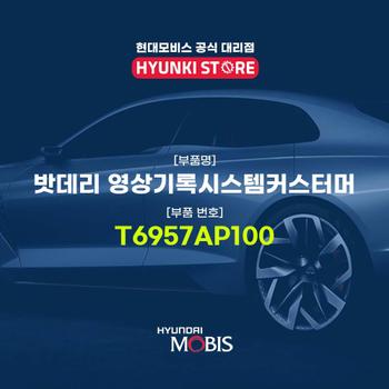 현대모비스밧데리 영상기록시스템커스터머 (T6957AP100)
