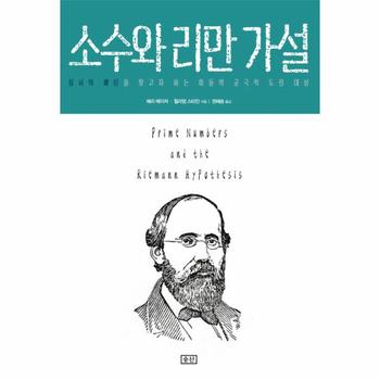 소수와 리만 가설 질서와 패턴을 찾고자 하는 이들의 궁극적 도전 대상