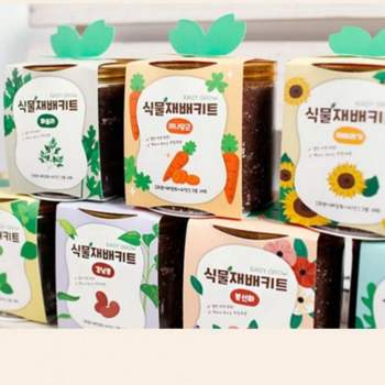 식물키우기 미니화분 11종 세트 탁상용 인테리어 화분 스마트팜