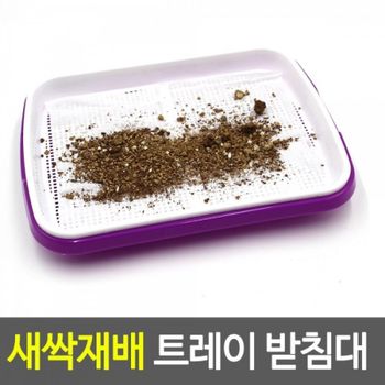 새싹 재배 씨앗 새싹재배기 받침대 수경 식물 발아 트레이 가정용