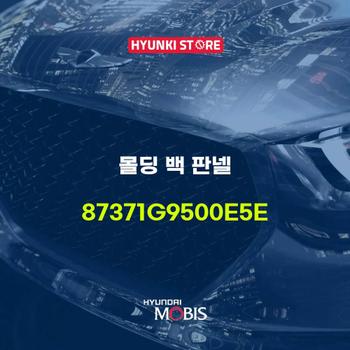 몰딩 백 판넬 (87371G9500E5E) 현대모비스부품몰