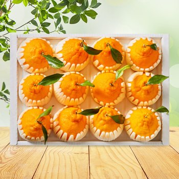 [SSG상품권증정이벤트][순차/지정일출고] [맛딜] 제주 한라봉 선물세트 2.5kg (10-13과)