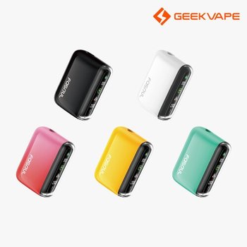 긱베이프 파소울 Q1 프로 궐련형 전자담배 테리아 스틱 호환 Fasoul Q1 PRO