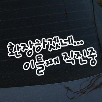 [뭉키데코] 자동차스티커1_LSC-019_초보운전이틀째 직진중 (2929159)