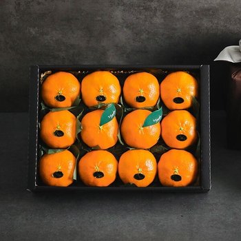 황금원 [신세계TV쇼핑]제주 고당도 천혜향 5kg(25-30과) 과일선물세트