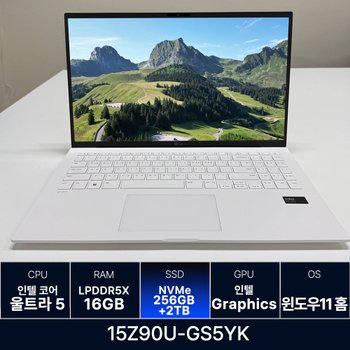 LG전자 LG그램 15Z90U-GS5YK RAM 16GB 256GB + 2TB 개봉 추가 N