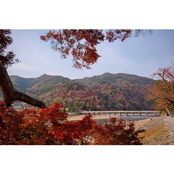 [4인출확/최다판매상품] 오사카/고베/나라 3일 1일자유일정 낭만고베여행 사슴의도시나라 가스가타이샤 석등길 오사카감성 리버크루즈