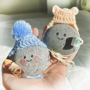 반려돌 애완돌 키우기 애완용 펫스톤 돌키우기 돌맹이 반려석 돌멩이 선물 가족