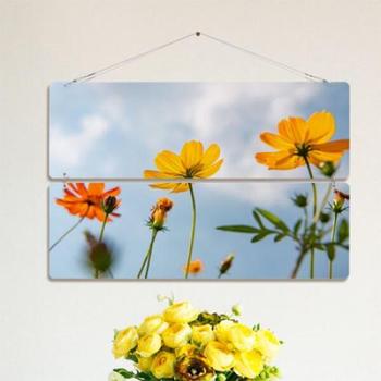 꾸밈 아트박스/꾸밈 nn762-멀티아크릴액자_황화코스모스(2단대형)