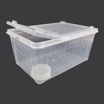 도마뱀 사육장 대형 레오파드 크레스티드 게코 거북이_WC6047A_