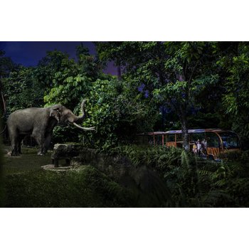 싱가포르 5일 1일자유 나이트사파리 시티갤러리 센토사 메가짚 랜턴바 새우국수 아마라 디너뷔페