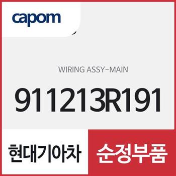 와이어링-메인 (911213R191) K7