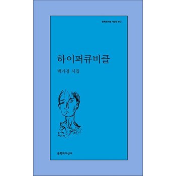 하이퍼큐비클 (문학과지성 시인선 612)
