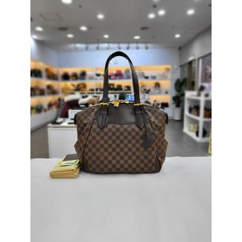 [중고] 루이비통 다미에 GM 숄더백 N41119 138476325