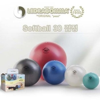 [ME38N18Q_53EA]용품 미니짐볼 맥스카페 소프트볼 30 (32242891)