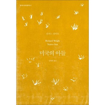 미국의 아들 (창비 세계문학 2)