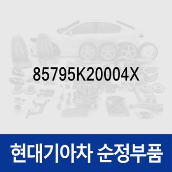 네트-훅,뒤 (85795K20004X) 코나 N (OS)/더 뉴 (OS), 베뉴