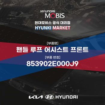 핸들 루프 어시스트 프론트 (853902E000J9) 현대모비스부품몰