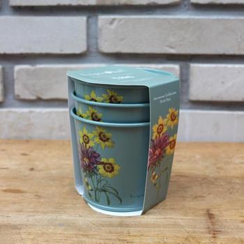 아트박스/그린무어 버건앤볼 화분 세트 Asteraceae Herb Pots