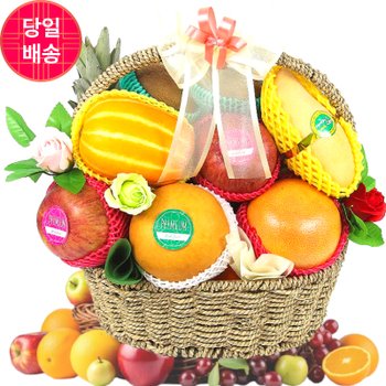 병원 병문안 개업 출산 승진 축하 과일바구니 선물 고급형