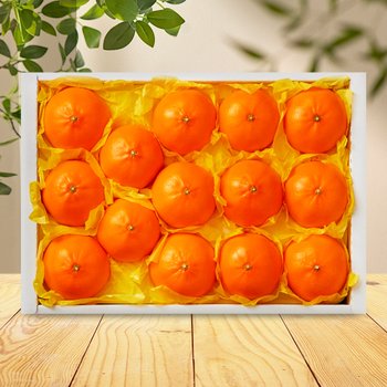 [SSG상품권증정이벤트][순차/지정일출고] [맛딜] 제주 레드향 선물세트 2.5kg (8-13과)