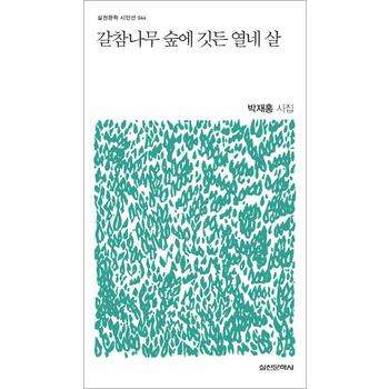갈참나무 숲에 깃든 열네 살 (실천문학 시인선 44)