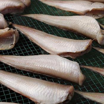 반건조 통영 나막스 400-500g 4-6미 반건조나막스 통영 물메기 붉은메기 반 건조 (S27360963)