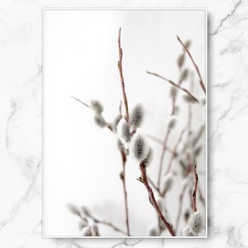 콜라상회 RYMD 인테리어 액자 버들 가지