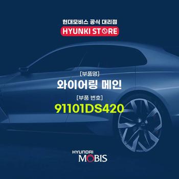 와이어링 메인 (91101DS420)