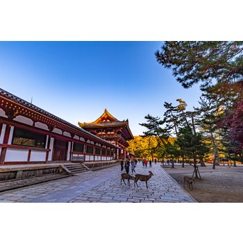 [에어부산라운지이용]오사카/고베/교토 3일 새롭게 만나는 간사이여행 4성급호텔 레토르 감성란덴열차 체험 산타마리아호 승선 덴포잔 마켓체험& 대관람차 교토즐기기