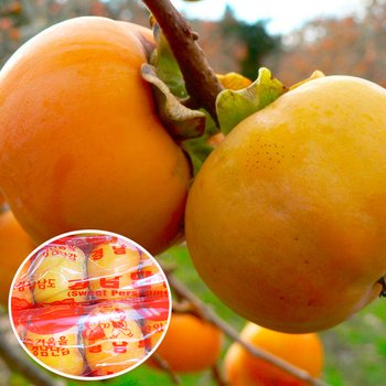 [GAP인증]밀양 얼음골 단감 10kg(박스포함) 65-70과