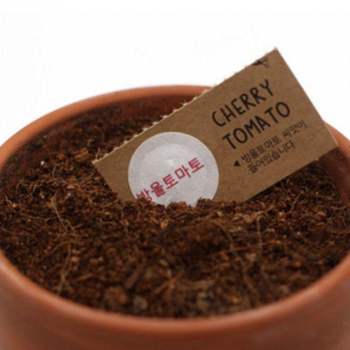 씨앗 키우기 세트 바질 토마토 유채 패랭이 선물 구성 카드 포함