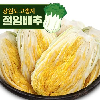 [지정일 출고] 강원도 고랭지 저염식 절임배추 20kg