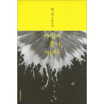 [큰글자도서] 바람이 분다 가라 - 2024 노벨문학상 수상작가