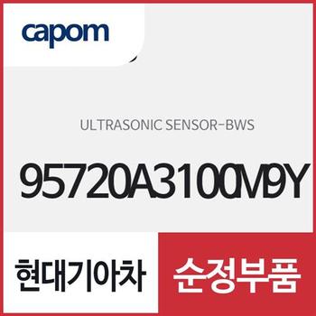 BWS 울트라소닉 센서 (95720A3100M9Y) 레이