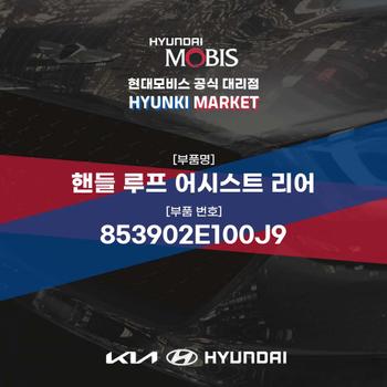 핸들 루프 어시스트 리어 (853902E100J9) 현대모비스부품몰