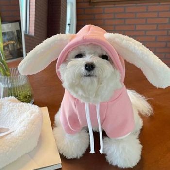 겨울옷 토끼귀 후드 강아지 후드조끼 강아지조끼 강아지후리스