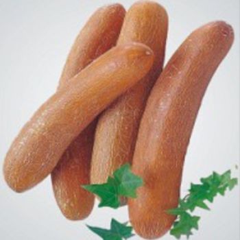 노각오이 씨앗 재래종 채소 종자 건강한 오이 정원용 정원꾸미기 가정원예 품종 종묘사