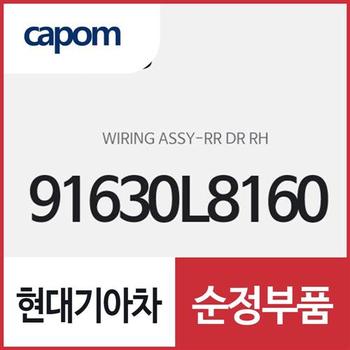 와이어링-리어 도어 우측 (91630L8160) K8
