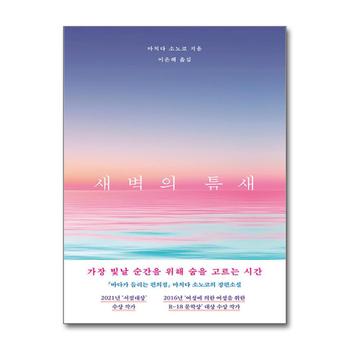 새벽의 틈새 - 마치다 소노코 소설 책