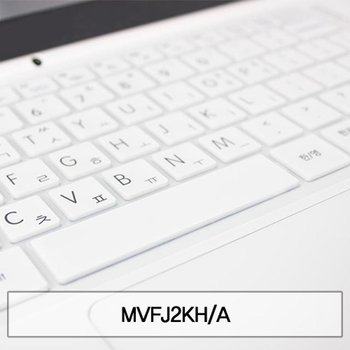 MVFJ2KH_A 말싸미키스킨