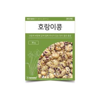 베하몰 텃밭 채소 씨앗 호랑이콩