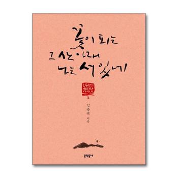 꽃이 피는 그 산 아래 나는 서 있네 (김용택의 섬진강 이야기 8)