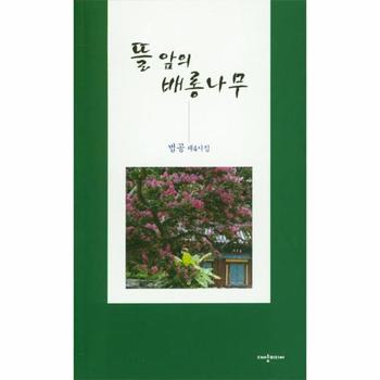 뜰 앞의 배롱나무